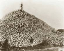 bizoni-holocaust.jpg